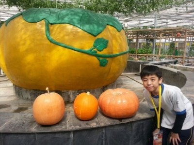 img02324